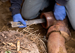 Sewer Line Clogs In Maricopa